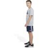 imageadidas Boys Short Sleeve Cotton USA Graphic TShirtGrey Heather With Red