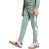 imageadidas Boys Tiro 25 Essentials Training PantsSilver GreenWhite