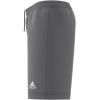 imageadidas Kids Entrada 22 ShortsTeam Grey Four
