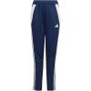 imageadidas Boys Tiro 24 Training PantsTeam Navy BlueWhite