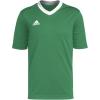 Team Green/White