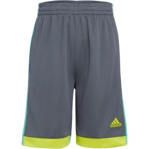 imageadidas Boys Elastic Waistband Winner ShortGreyGreen