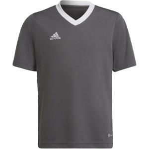 imageadidas Kids Entrada 22 JerseyGrey