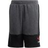 imageadidas Boys Tastigo 19 ShortsCharcoalgrey