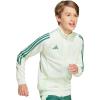 imageadidas Kids Tiro 24 Training JacketGreen MistForest