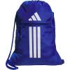Team Royal Blue