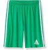 Team Green/White