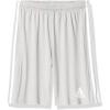 Team Light Grey/White