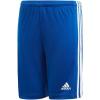 Team Royal Blue/White