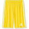 Team Yellow/White