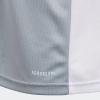 imageadidas Boys Entrada 18 JerseyLight GreyWhite
