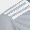 imageadidas Boys Entrada 18 JerseyLight GreyWhite
