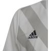 imageadidas Kids Entrada 22 Graphic JerseyWhiteTmlggr
