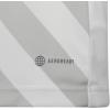 imageadidas Kids Entrada 22 Graphic JerseyWhiteTmlggr