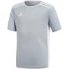 imageadidas Boys Entrada 18 JerseyLight GreyWhite