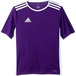 imageadidas Boys Entrada 18 JerseyCollegiate Purple