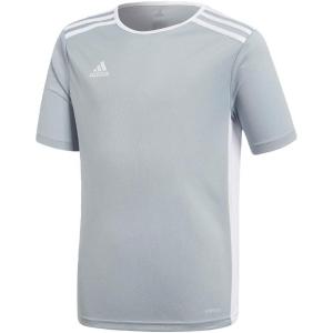 imageadidas Boys Entrada 18 JerseyLight GreyWhite