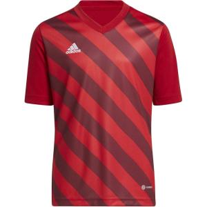 imageadidas Kids Entrada 22 Graphic JerseyTeam Power RedShadow Red