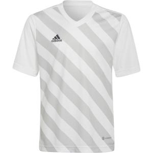 imageadidas Kids Entrada 22 Graphic JerseyWhiteTeam Light Grey