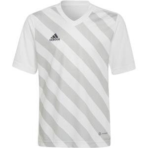 imageadidas Kids Entrada 22 Graphic JerseyWhiteTmlggr