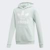 imageadidas Originals Kids Trefoil HoodieVapour GreenWhite