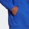 imageadidas Originals Mens Graphics Trefoil Series HoodieSemi Lucid Blue