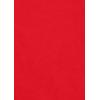 imageadidas Originals Womens Adicolor Essentials LeggingsBetter Scarlet