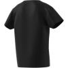 imageadidas Originals Kids Adicolor TeeBlack01