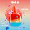 imageadidas Vibes Spark Up Eau de Parfum 16 fl oz Pack of 1 Notes of Fruity Floral Orange and Black Pepper Unisex Fragrance Long Lasting Sporty Fragrance Travel SizeEau de Parfum  Happy Feels