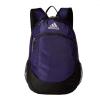 Team Collegiate Purple/Black/White