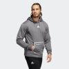 imageadidas HoodieGreyWhite