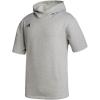 imageadidas HoodieMedium Grey Heather
