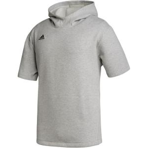 imageadidas HoodieMedium Grey Heather