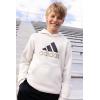 imageadidas Boys Long Sleeve Fleece Pullover HoodieAlumina Tan