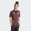imageadidas Mens Mexico JerseyMulticolor Home 2024