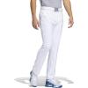 White 23