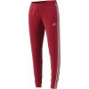 Active Maroon/Reflective Silver
