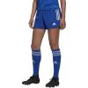 Team Royal Blue/White