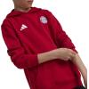 imageadidas Kids Fc Bayern Munich HoodieTeam Power Red