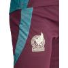 imageadidas Mens Standard Mexico 2024 Tiro Training ShortsDark BurgundyGreen Spark