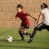 imageadidas Soccer Shin Guard StrapBlack