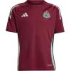 imageadidas Unisex Kids Newcastle United Fc Training Jersey
