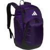 Team Collegiate Purple