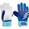 Bright Royal/Bliss Blue/White