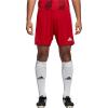 Power Red/White