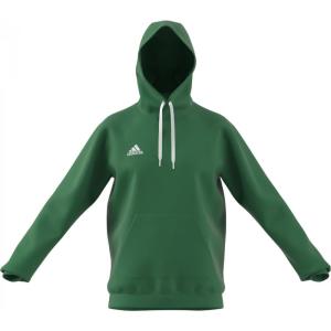 imageadidas Mens Entrada 22 Sweat HoodieGreen