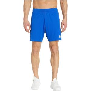 imageadidas Mens Tastigo 19 ShortsBold BlueWhite