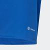 imageadidas Boys Tiro 23 JerseyTeam Royal BlueWhite