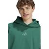 imageadidas Mens All Szn Fleece Loose HoodieCollegiate Green