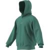 imageadidas Mens All Szn Fleece Loose HoodiePowder Teal